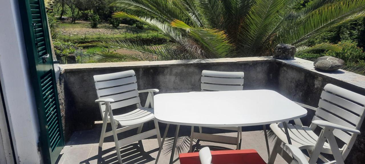 Vecchio Mulino Fontona Girasole Apartamento Chiesanuova  Exterior foto
